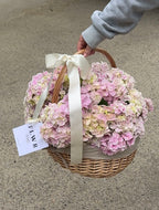 FLWR Hydrangea Basket (One Size)