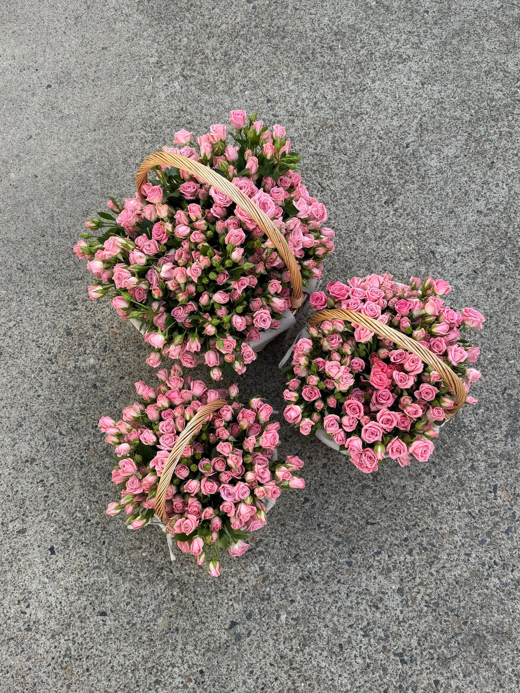 Light Pink Spray Rose FLWR Basket