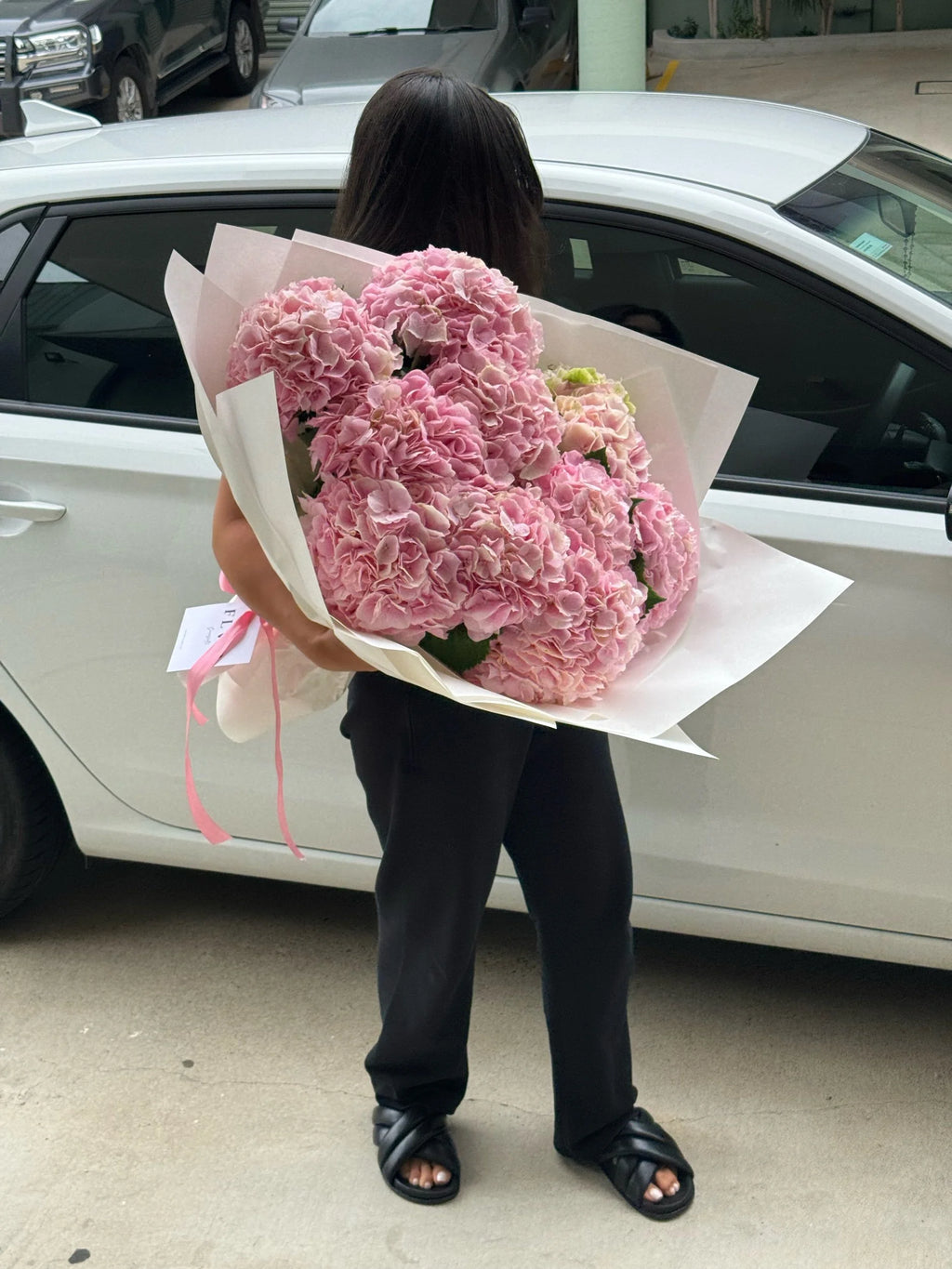 Light Pink Hydrangeas